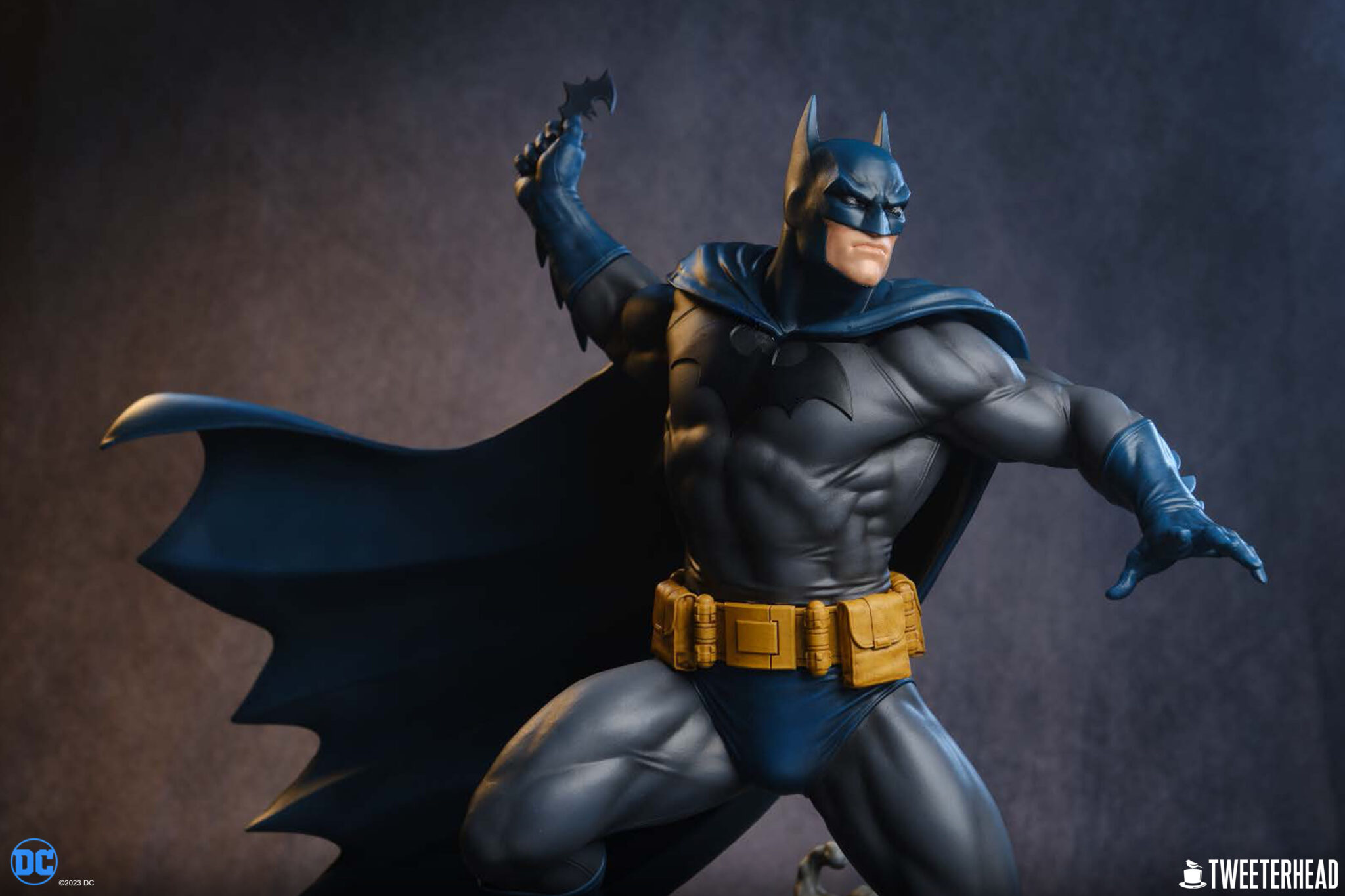 Batman Blue and Gray Edition | Tweeterhead